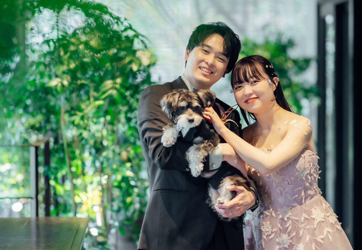 ペット婚差し替え（最終部分）
