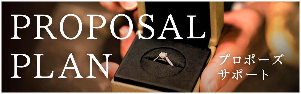 proposalplan